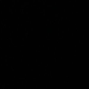 Meet your Posher, Sasha